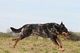 BEAUCERON 342